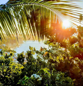 COCO BAMBÚ PIPA, a 200 m da praia e a 100 m do centro da cidade